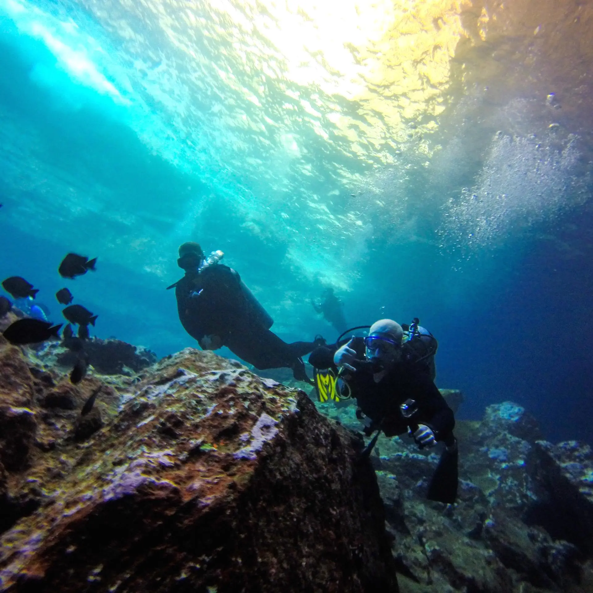 Scuba divers underwater on Oahu, Hawaii