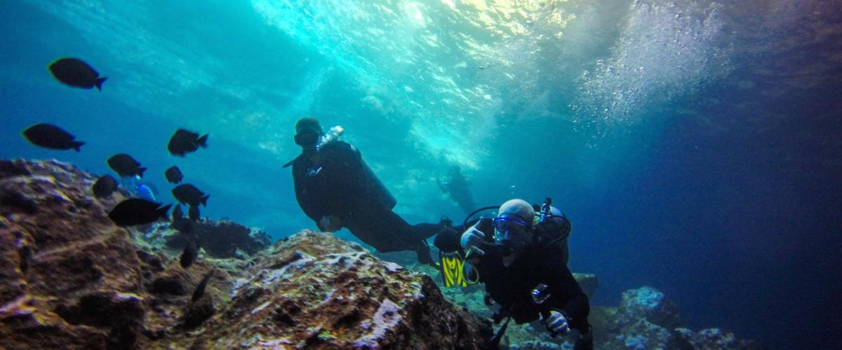 Multi-Day Packages Image 1 Scuba divers underwater on Oahu, Hawaii