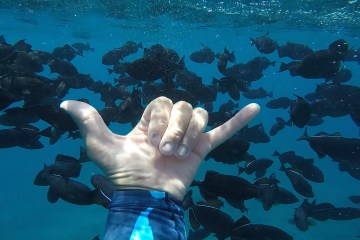 Scuba diver making 'hang loose' sign underwater on Oahu, Hawaii
