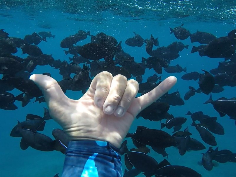 Scuba diver making 'hang loose' sign underwater on Oahu, Hawaii