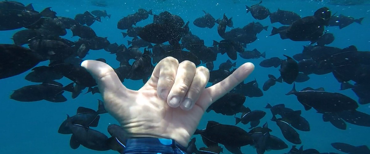 Scuba diver making 'hang loose' sign underwater on Oahu, Hawaii