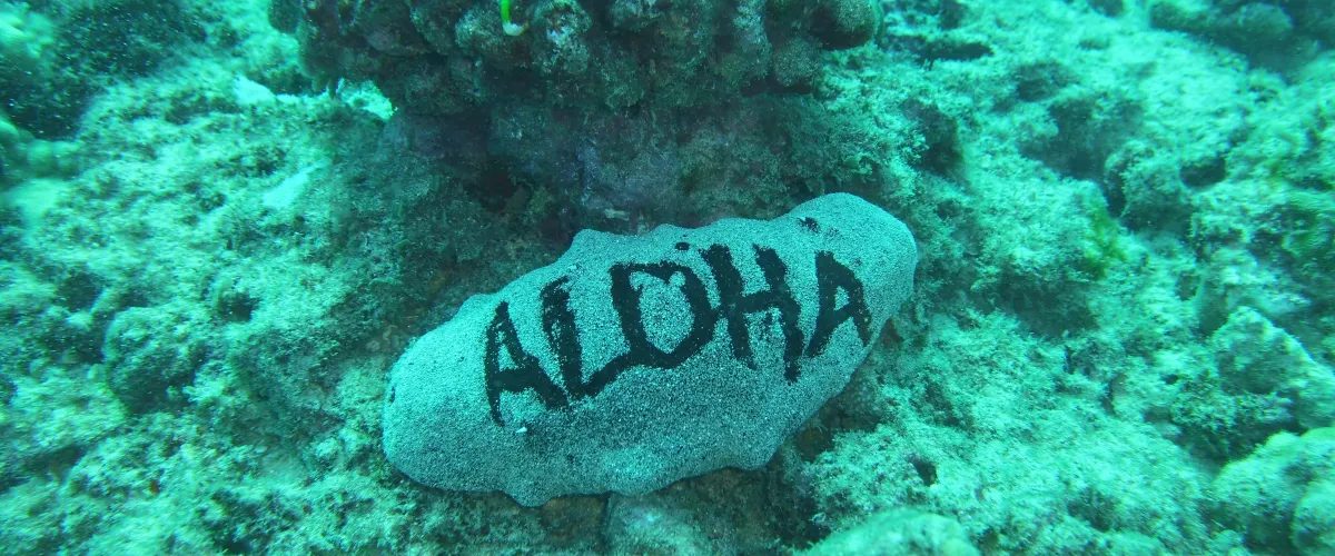 Aloha painted on rock underwater